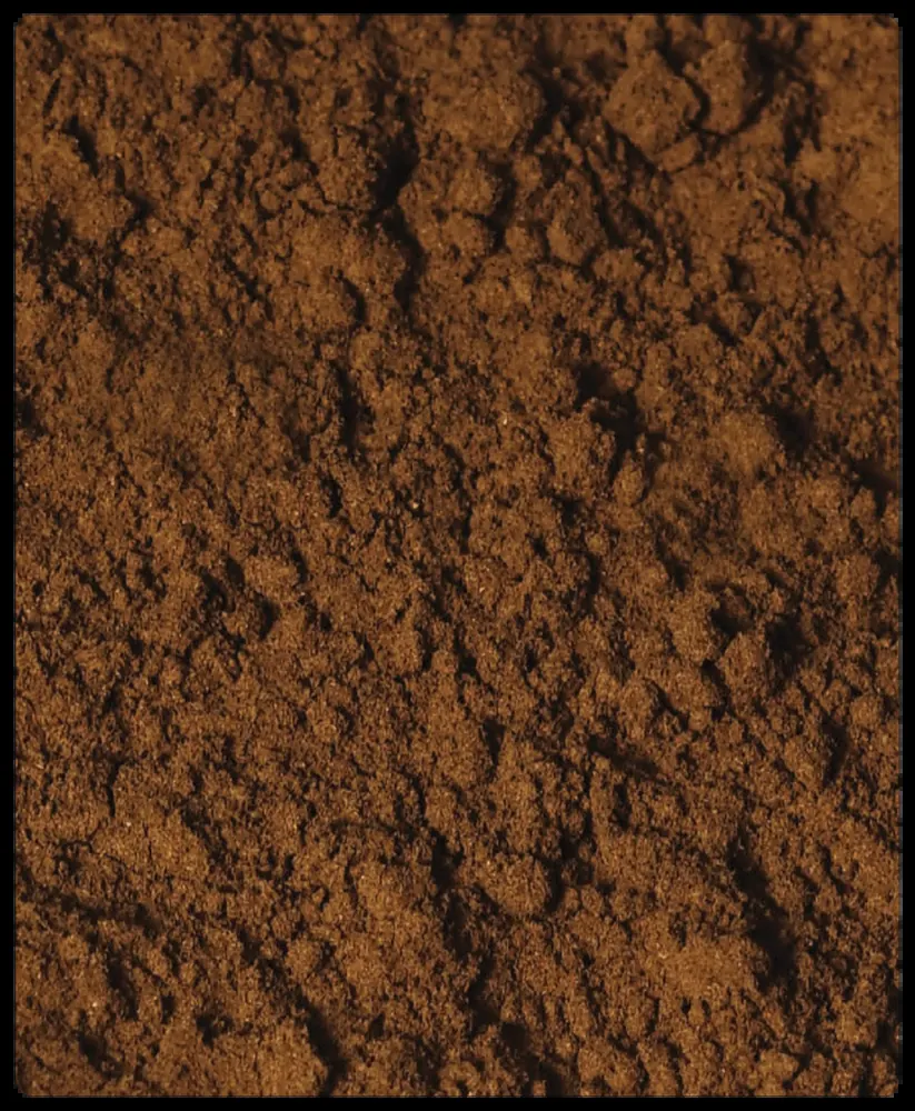 FA1058